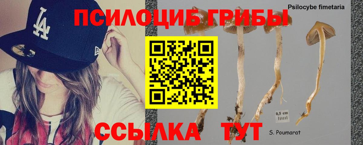 Галлюциногенные грибы Cubensis  Галлюциногенные грибы Magic Shrooms  Вход с VPN  Кимовск 