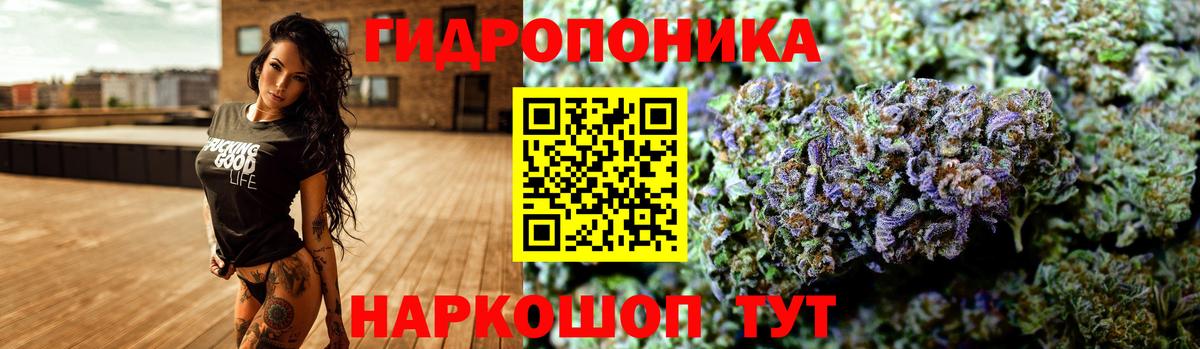 Канабис семена  Каннабис MAZAR  МАРИХУАНА Ganja  Кимовск  Вход с VPN 